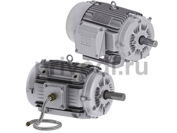 Электродвигатель дымоудаления GM2ED 280 S 4a (75 кВт / 1500 об. мин. Электродвигатель дымоудаления GM2ED 280 S 4a (75 кВт / 1500 об. мин.